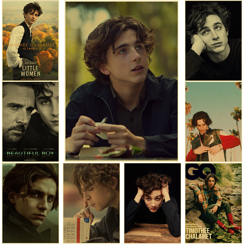 Home Bar And Theater - Timothee Chalamet-pintura en lienzo Retro, impresiones