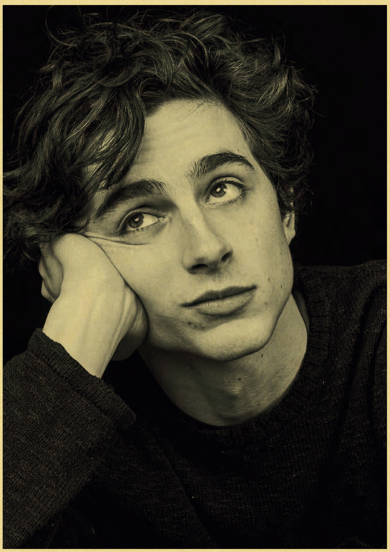 Timothee Chalamet-pintura en l - Home Bar And Theater reseña y precio